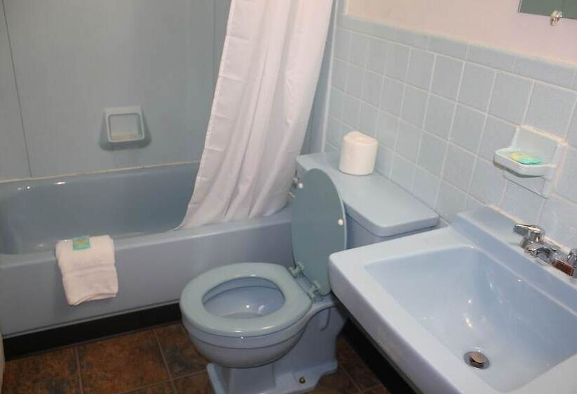 Номер Стандарт 2 Двуспальные Кровати, Green Valley Motel
