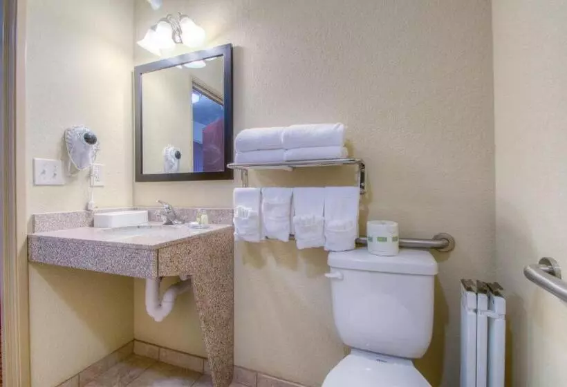 身障者適用スタンダードルーム, Cobblestone Inn & Suites   Harper