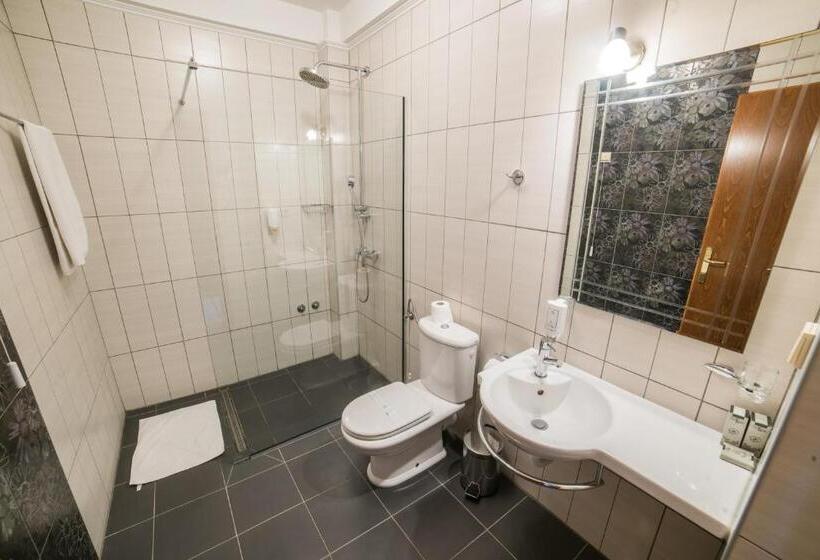 اتاق استاندارد یک نفره, Ethno Village Stanisici