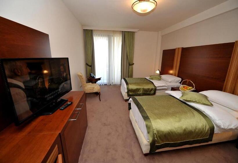 اتاق استاندارد, Ethno Village Stanisici