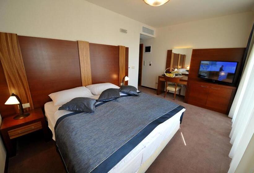 اتاق استاندارد, Ethno Village Stanisici