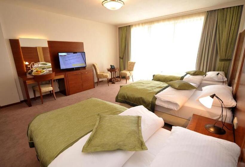 اتاق استاندارد سه نفره, Ethno Village Stanisici