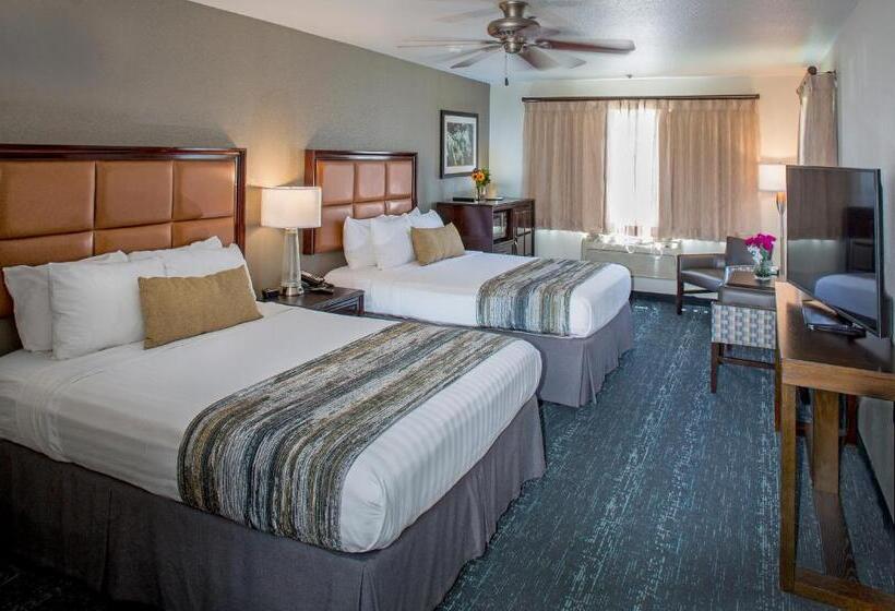 스탠다드 룸, Granzella's Inn