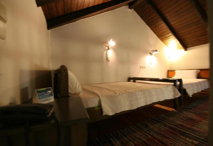 חדר סטנדרט לארבעה, Nostos