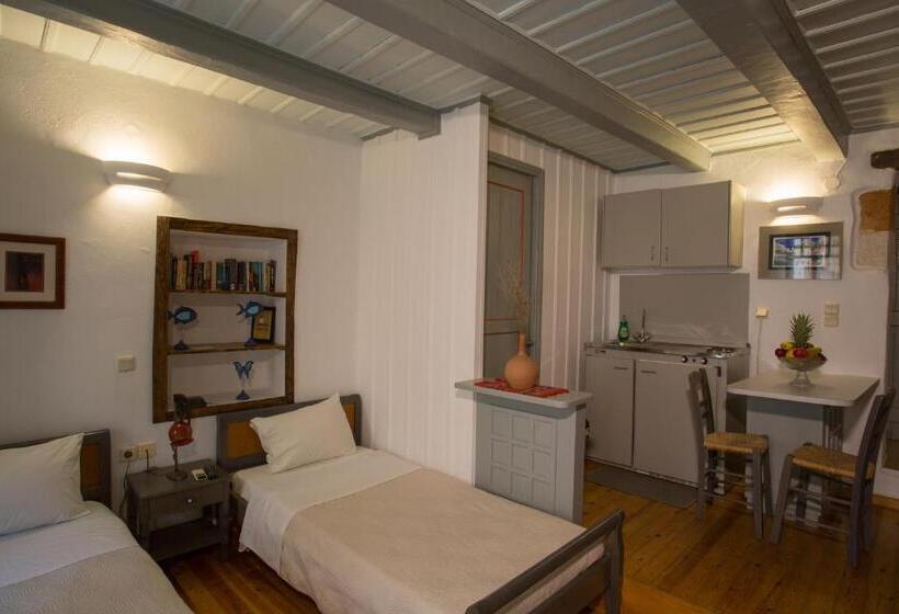 חדר סטודיו סטנדרד, Nostos