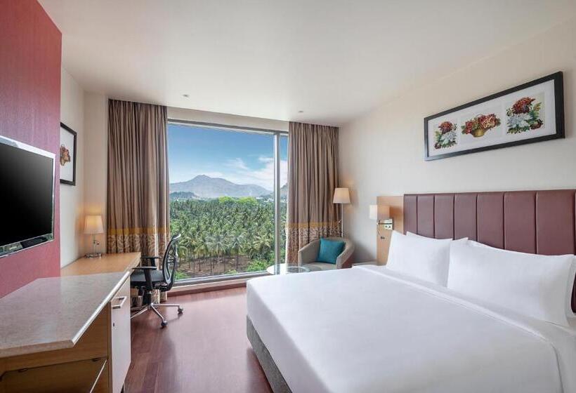 수피리어 룸, Radisson Salem