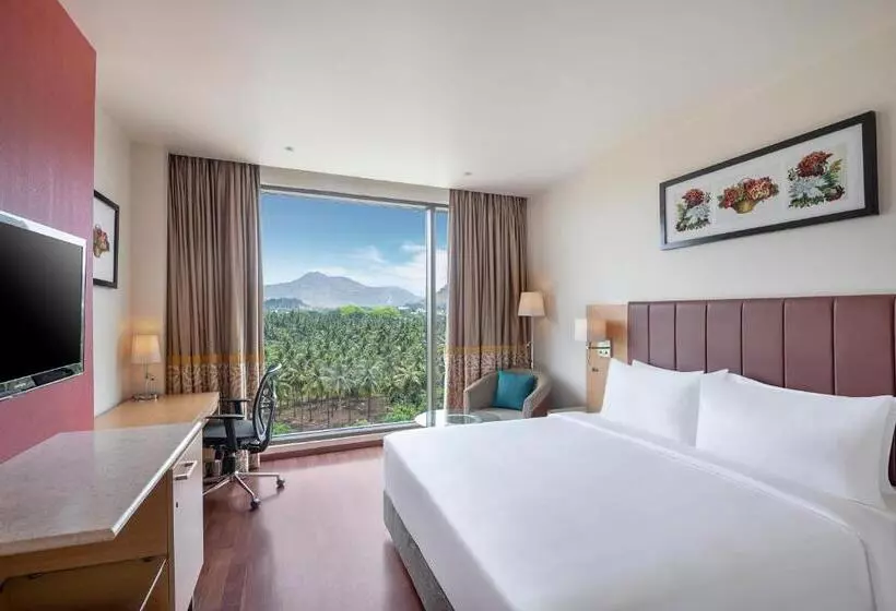 Superior-huone, Radisson Salem