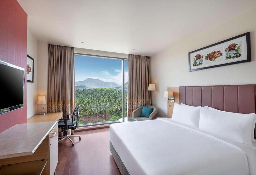 高级大房间, Radisson Salem