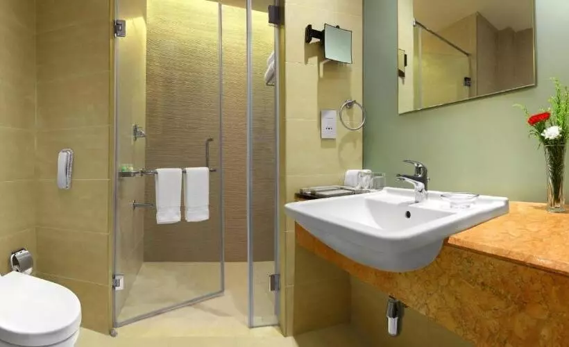 Deluxe-huone, Radisson Salem