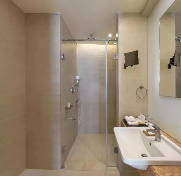 Deluxe-huone, Radisson Salem