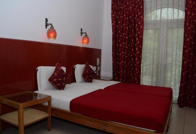 スタンダードルーム, Ray Of Maya