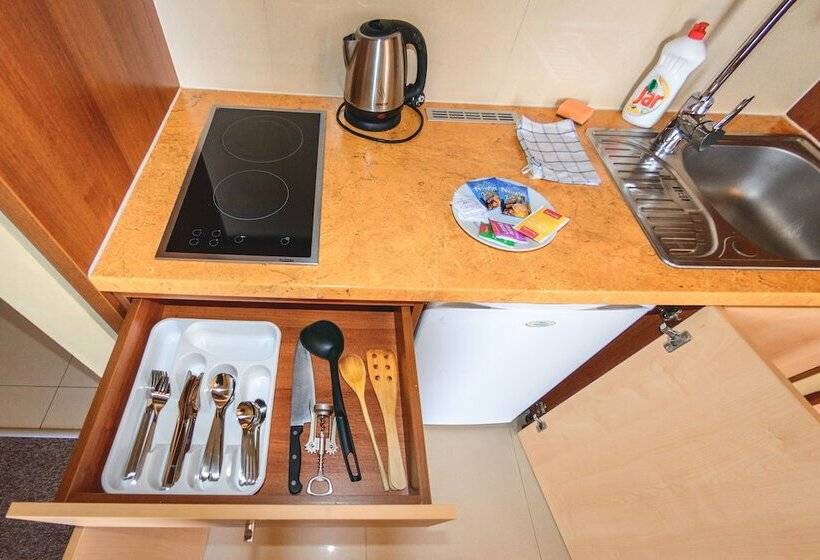 침실 1개 아파트, Tatragolf Mountain Resort