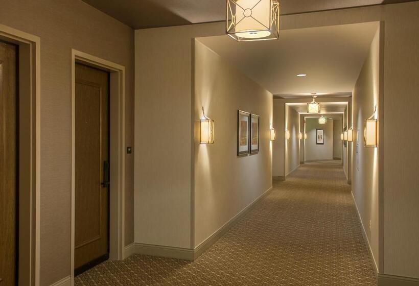 带城市景观的标准间, The Sewanee Inn