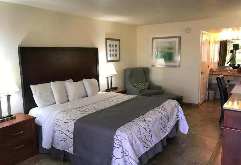 キングサイズベッドのスタンダードルーム, At Home Inn  Fort Pierce