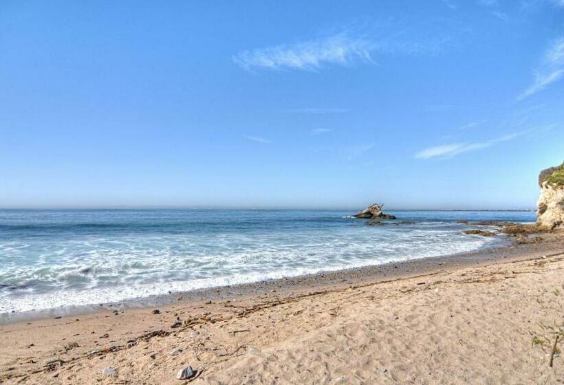 1ベッドルームアパートメント, Monterey D