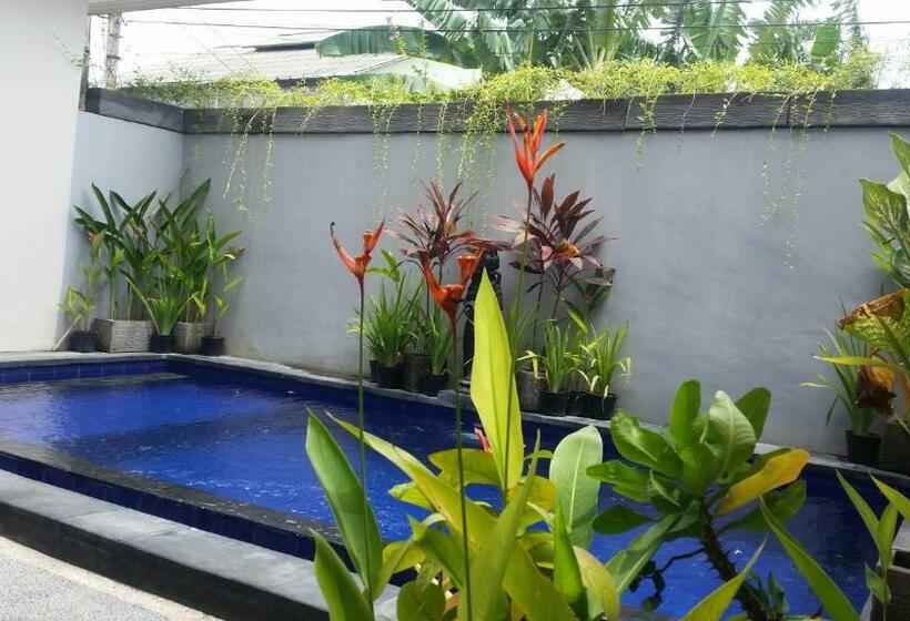 اتاق لوکس, Star Bali Guest House