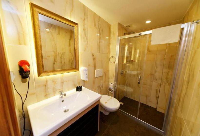 اتاق استاندارد, Kral Suit Apartment &