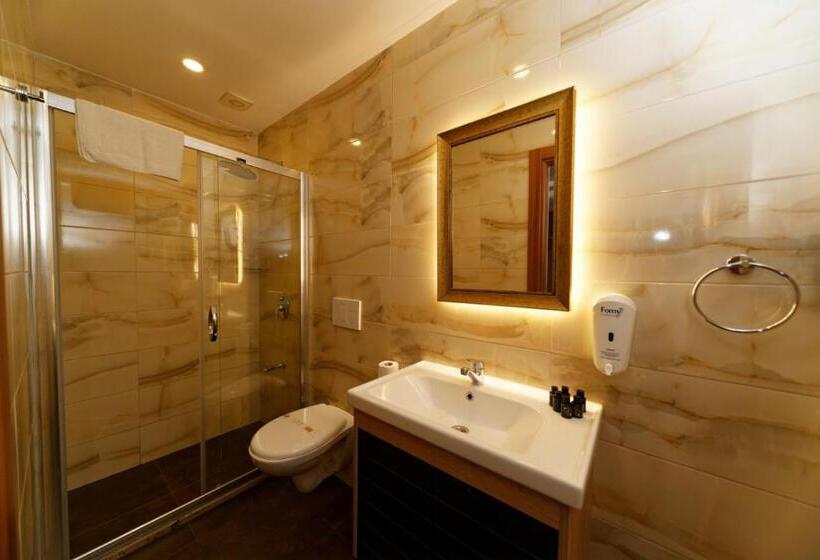 اتاق استاندارد, Kral Suit Apartment &