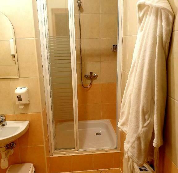 غرفة قياسية, Pałac Pod Dębami