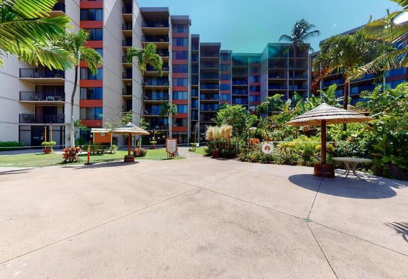 Студия Стандарт, Kaanapali Shores 732