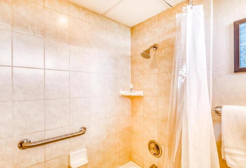 استودیوی استاندارد, Kaanapali Shores 732