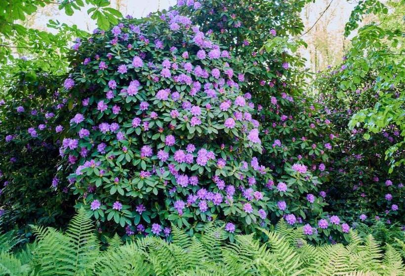 غرفة أساسية ثلاثية, Marel Apartments U Sowy  Sauna Polanica Zdrój