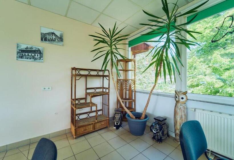 غرفة قياسية, Marel Apartments U Sowy  Sauna Polanica Zdrój