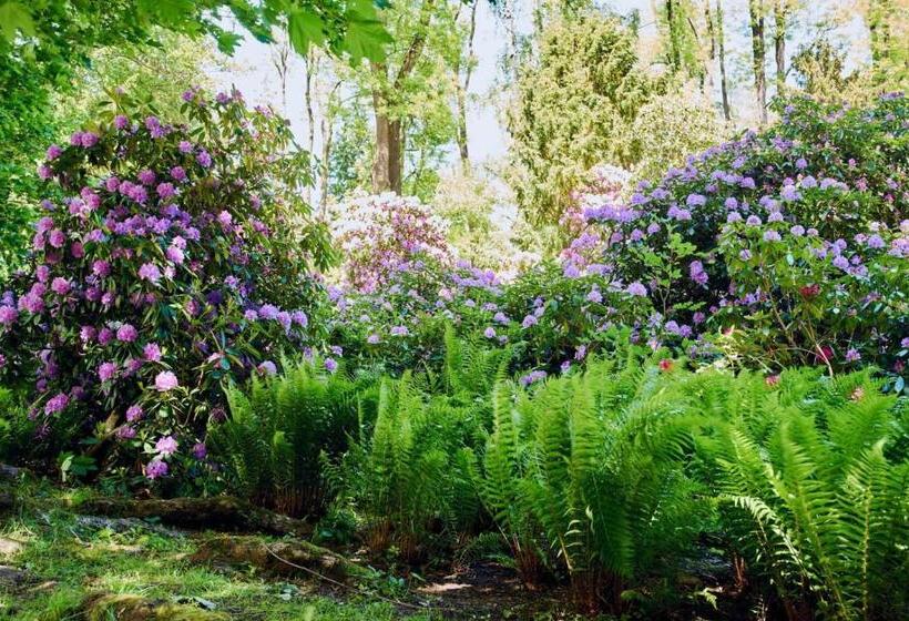 غرفة قياسية, Marel Apartments U Sowy  Sauna Polanica Zdrój