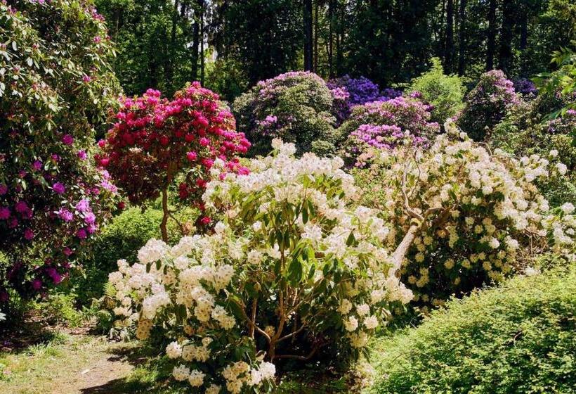 غرفة قياسية رباعية, Marel Apartments U Sowy  Sauna Polanica Zdrój