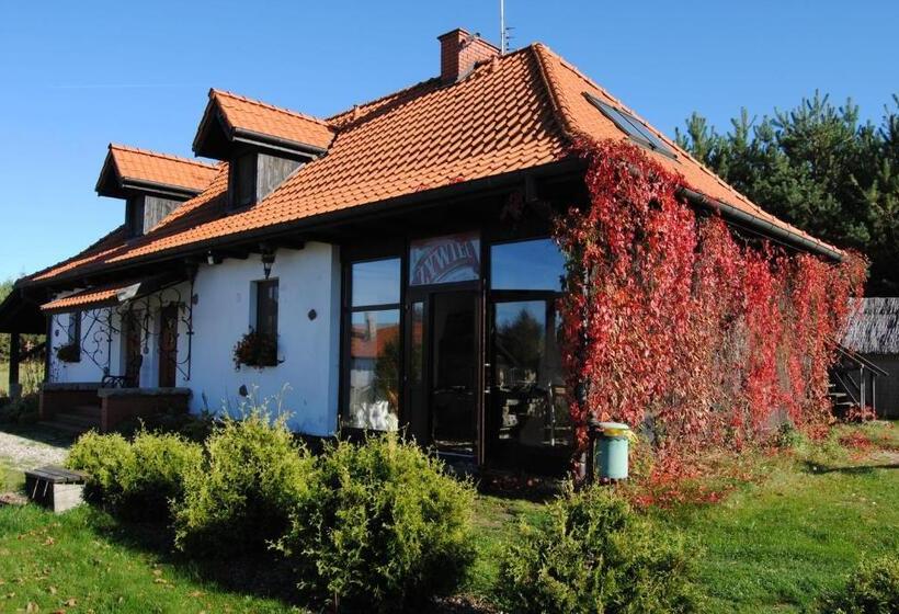 חדר סטודיו סטנדרד, Siedlisko Konradówka