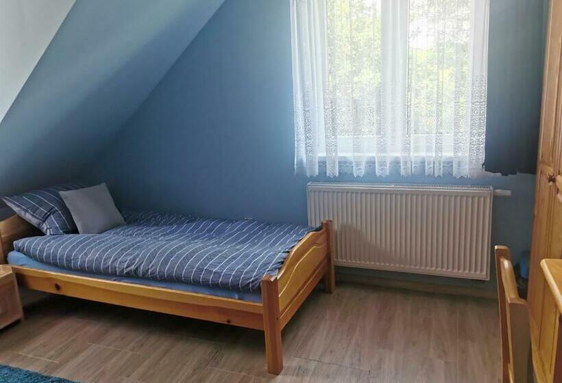 标准间, Zakole Sanu