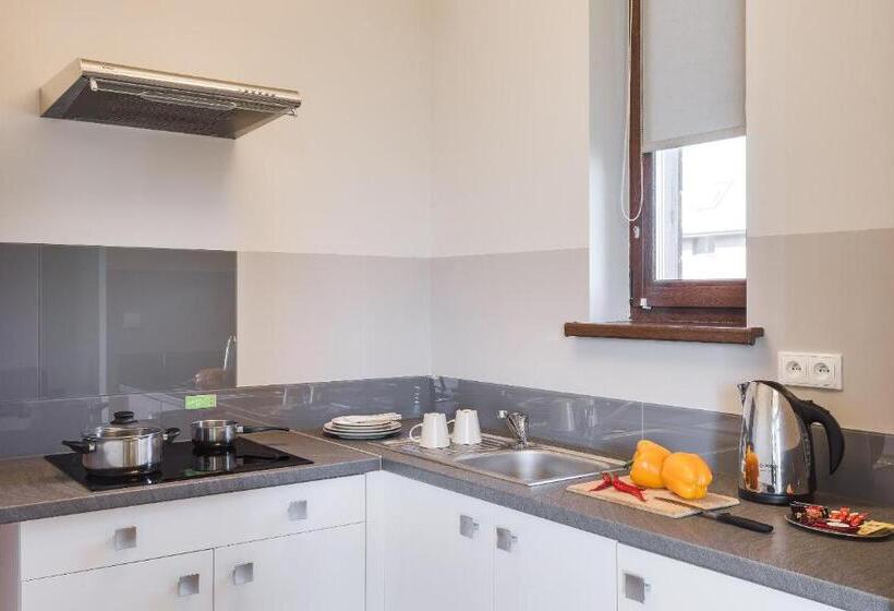 شقة ديلوكس غرفة واحدة, Osada śnieżka Koło Karpacza