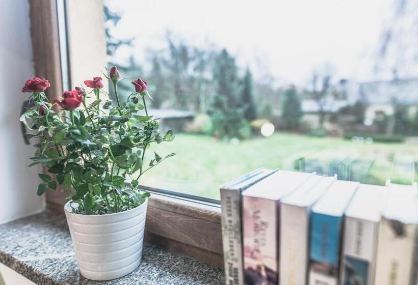 스탠다드 룸 킹사이즈 침대, Przystanek Czarne