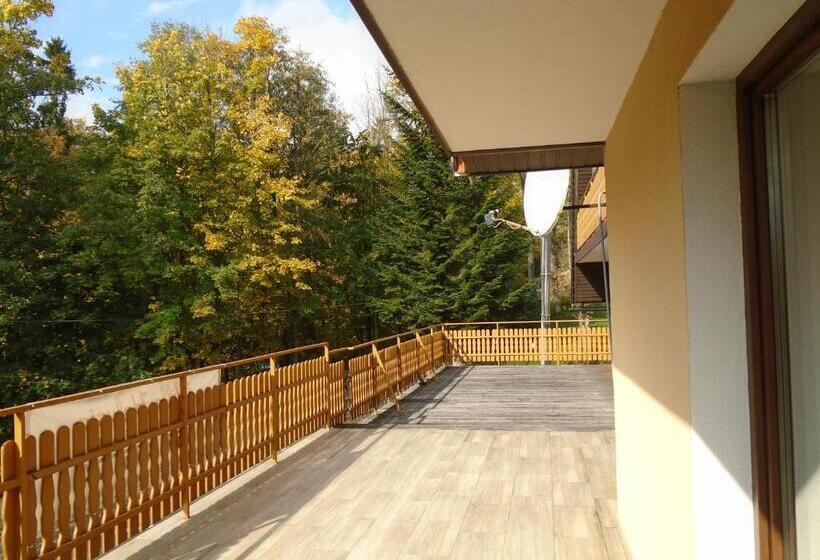 آپارتمان 1 خوابه با تراس, Willa Halusia