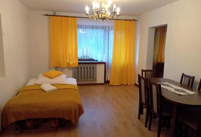 آپارتمان 1 خوابه با تراس, Willa Halusia