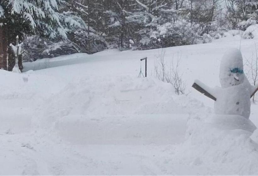 バルコニー付きスタンダードルーム, Dom Honorat, Kamianna 70, 33 336