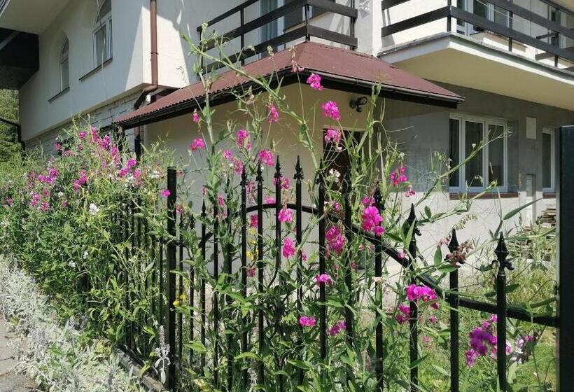 マウンテンビュースタンダードルーム, Dom Honorat, Kamianna 70, 33 336