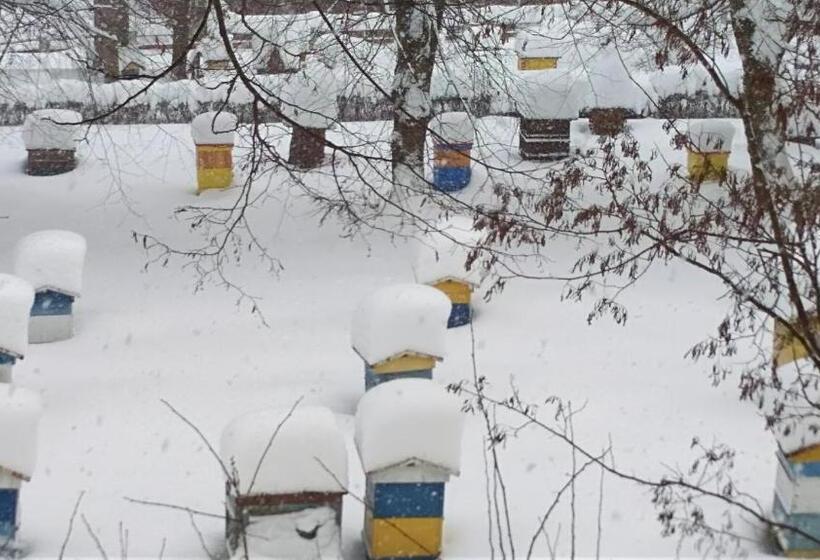 マウンテンビュースタンダードルーム, Dom Honorat, Kamianna 70, 33 336