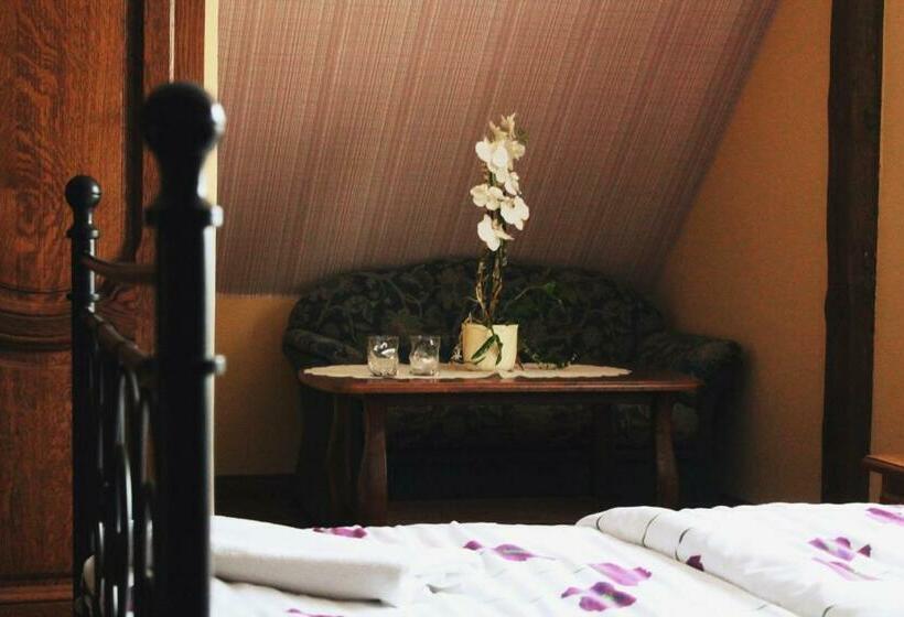 חדר דלוקס, Dom Nad Rozlewiskiem