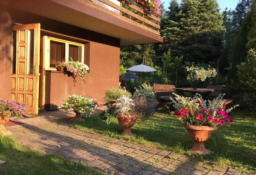 Стандартный внешний трехместный номер с ванной комнатой, Marysieńka