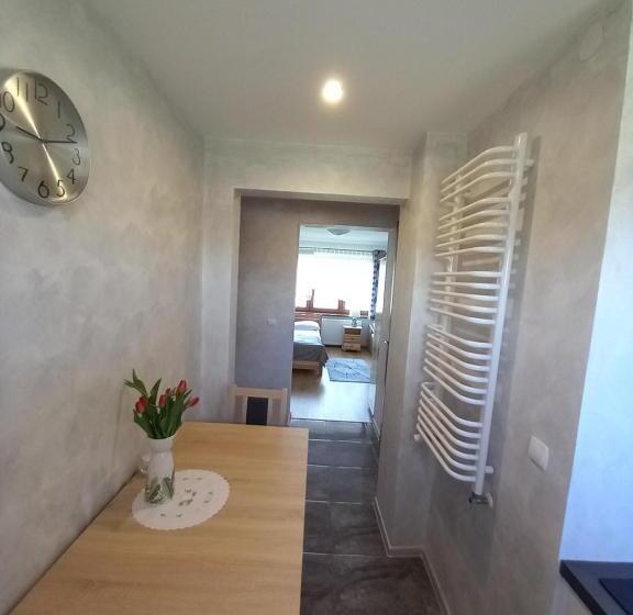 חדר סטודיו סטנדרד, Pokoje Gościnne U Marysi