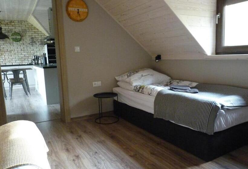 דירת דלוקס 2 חדרי שינה, Widokowa Osada