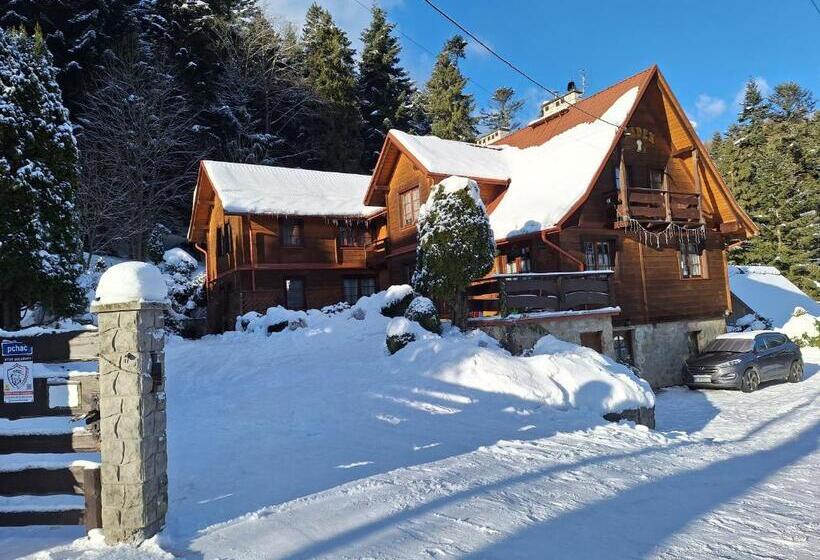 标准房带园景, Dom Gościnny Dudek