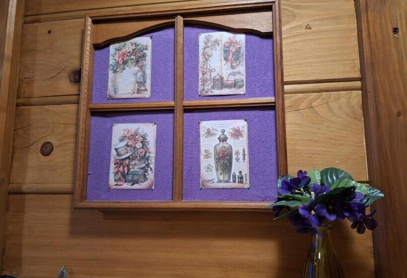 基本间, Dom Gościnny Dudek