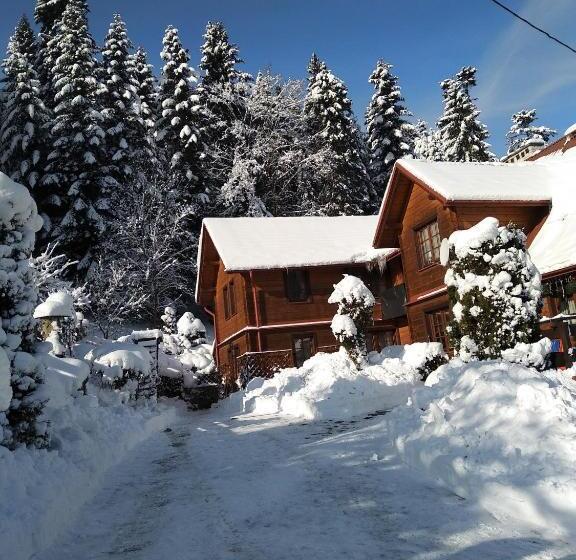 基本间, Dom Gościnny Dudek