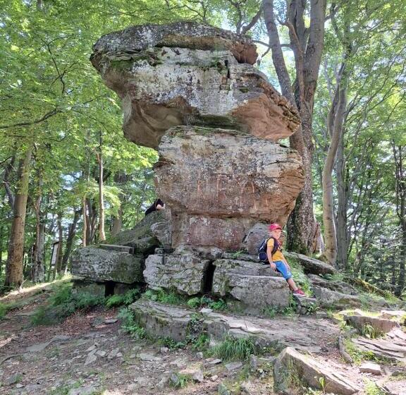 基本间, Dom Gościnny Dudek