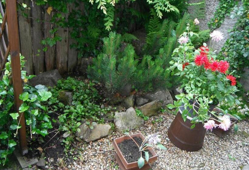 标准三人间, Dom Gościnny Dudek