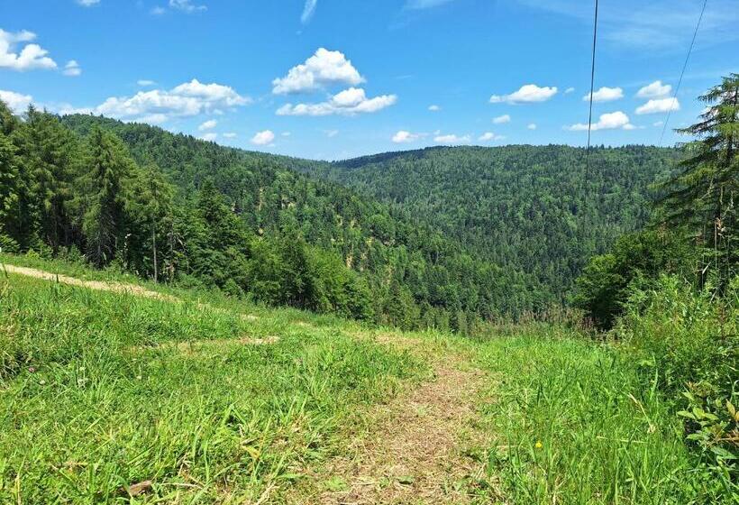 标准三人间, Dom Gościnny Dudek