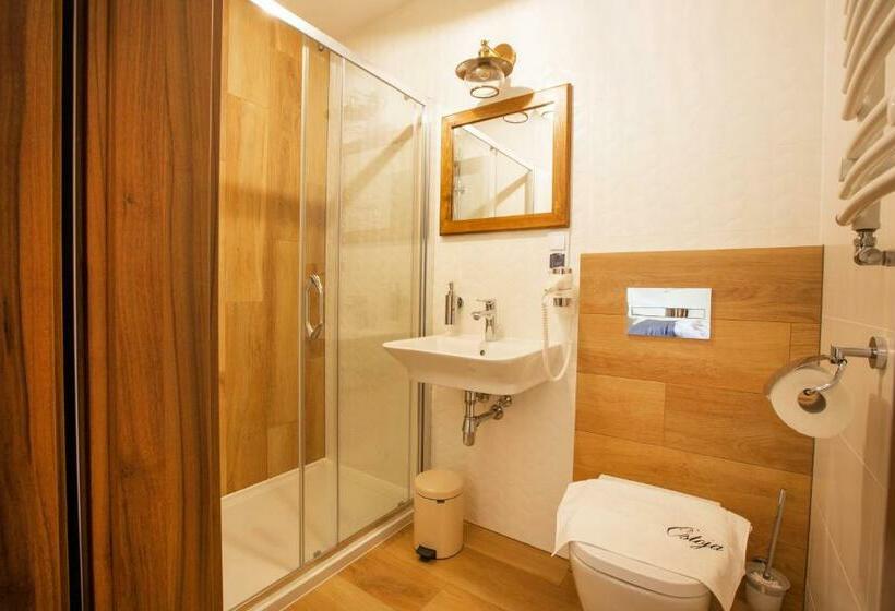 バルコニー付きスタンダードルーム, Willa Ostoja Wellness