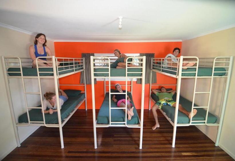 Кровать в Общей Комнате, Backpackers In Paradise 18 35 Hostel